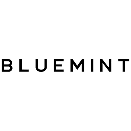 Bluemint